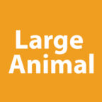 large animal