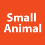 small-animal