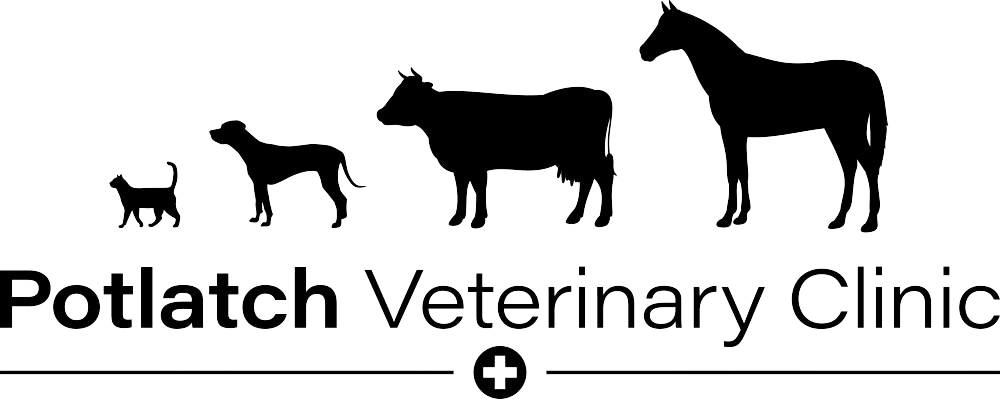 Potlatch Veterinary Clinic Logo