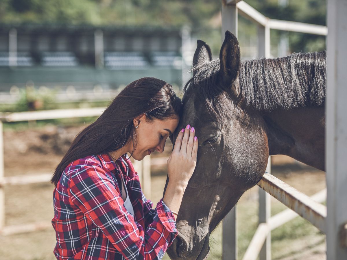 A woman gently pets a horse