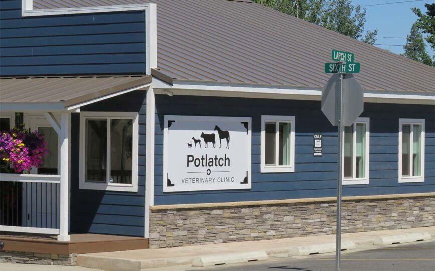 Potlatch Veterinary Clinic building