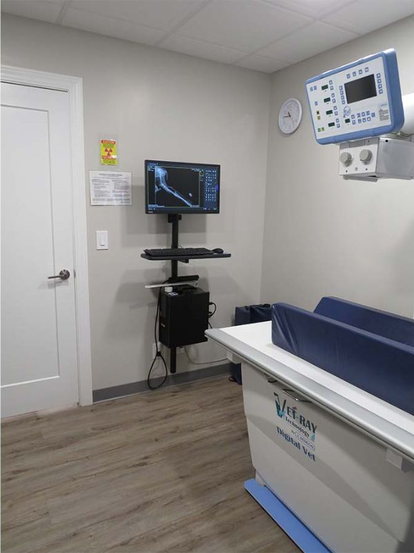 Potlatch Veterinary Clinic ultrasound room