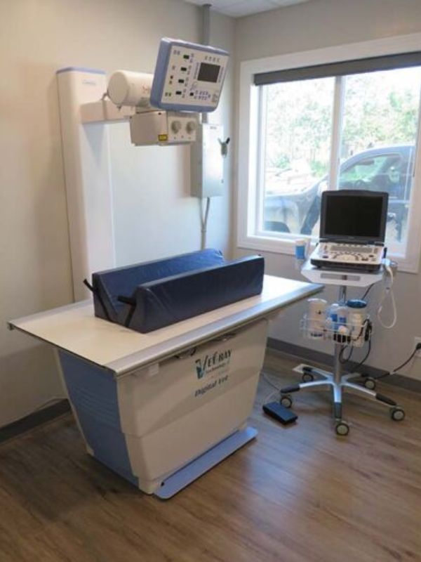 Potlatch Veterinary Clinic ultrasound room