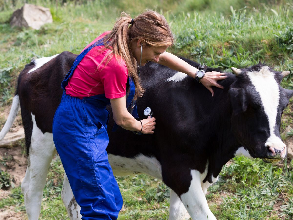 A woman in overalls gently pets a cow in a serene farm