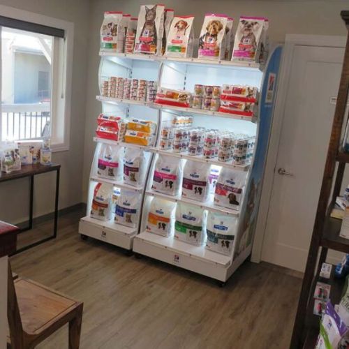 A store interior showcasing shelves stocked with various dog food