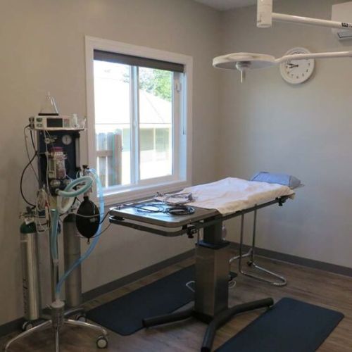 Potlatch Veterinary Clinic surgery room