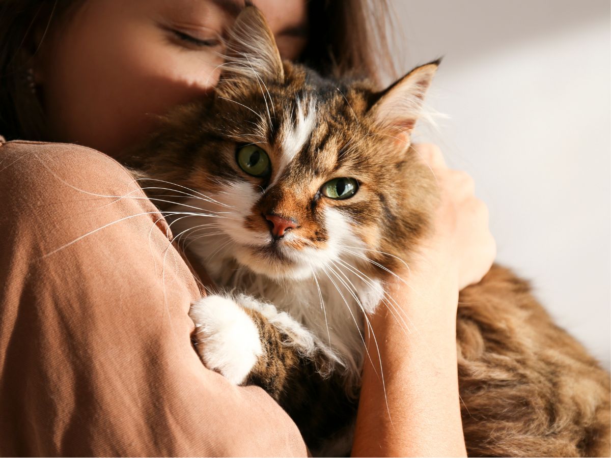 A woman gently cradles a cat in her arms