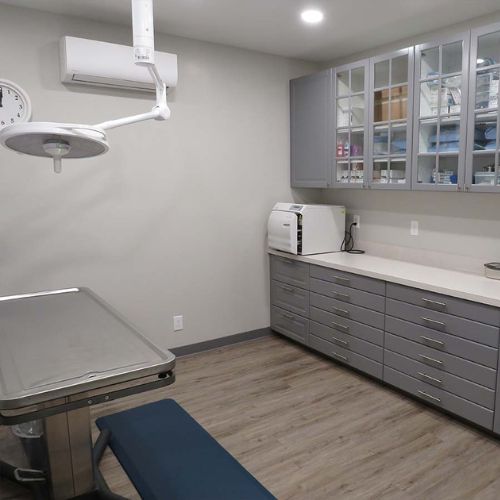 Potlatch Veterinary Clinic surgery room