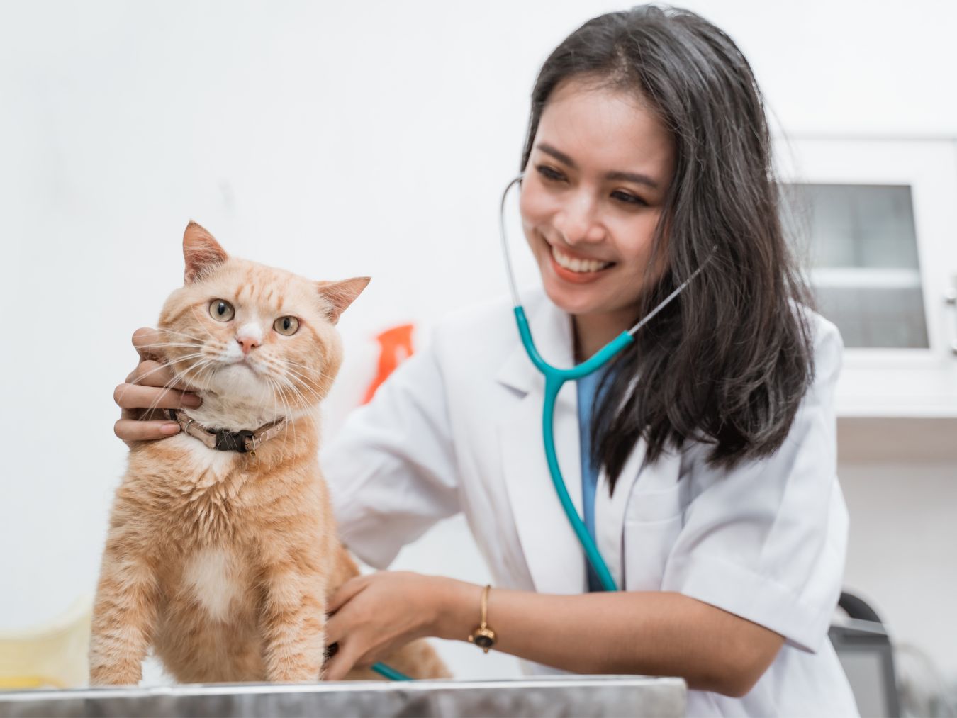 A woman in a white coat gently holds a cat