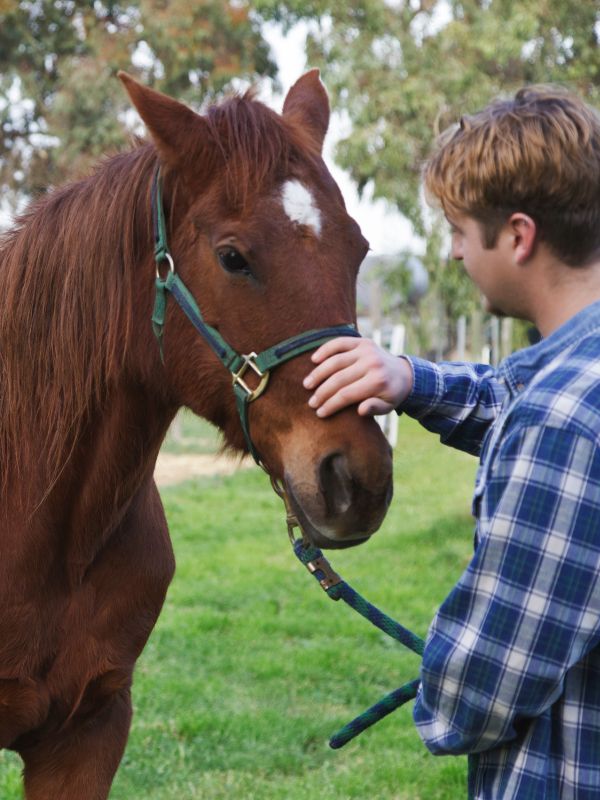 A young man gently pets a horse while standing on lush green grass